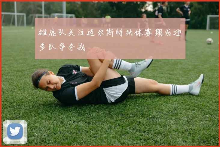 雄鹿队关注迈尔斯特纳休赛期或迎多队争夺战